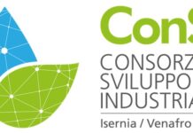 consorsi