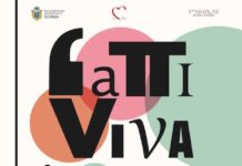 festival poesia isernia