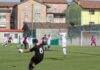 kalena vs toro 28 maggio 2023