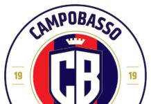 new logo campobasso calcio 1919