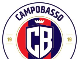 new logo campobasso calcio 1919