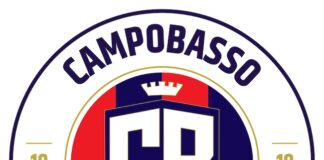 new logo campobasso calcio 1919