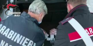 Nas sequestrano canile abusivo, all’interno 47 animali
