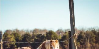 avventure 26 giugno 2 luglio 2023