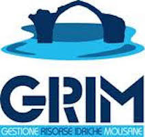 logo grim