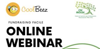 Raccolte fondi nel Terzo Settore, webinar del CSV Molise il 27 giugno raccolta fondi coolbeez