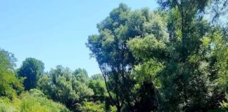 avventure 24-30 luglio 2023