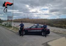 carabinieri termoli