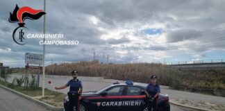 carabinieri termoli