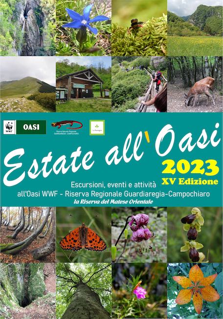 estate all'oasi 2023