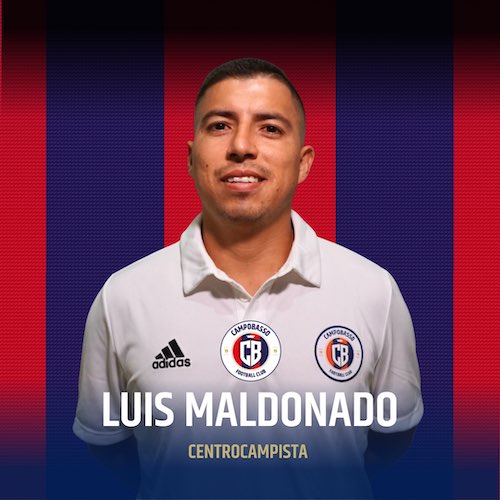 luis maldonado