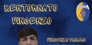 vincenzo panaro