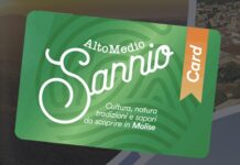 alto medio sannio card