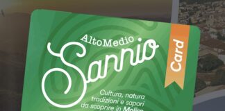 alto medio sannio card