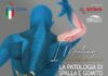 convegno patologia spalla gomito