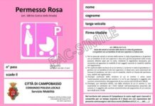 fac simile permesso rosa