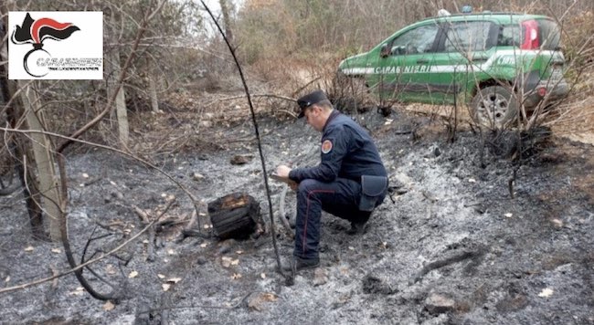 incendio montefalcone del sannio