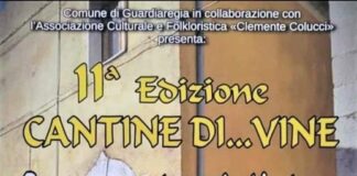 cantine di vine