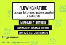 flowing nature 11 ottobre 2023