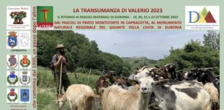 la transumanza di valerio 2023