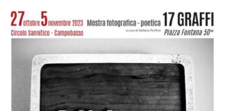 mostra 17 graffi