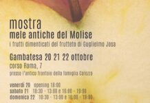 mostra mele antiche