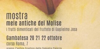 mostra mele antiche