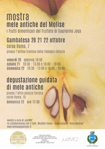 mostra mele antiche