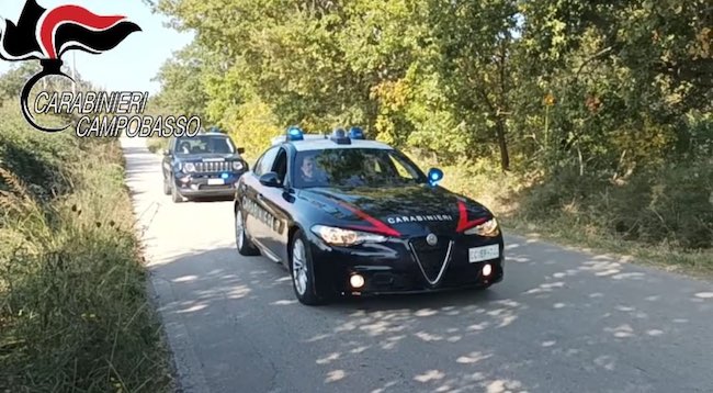 carabinieri campobasso azione