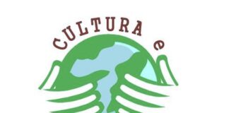 cultura solidarieta logo