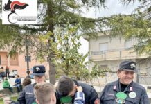 festa alberi 2023