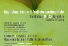 guglielmo rosa frutteto sperimentale