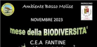 mese biodiversità 2023