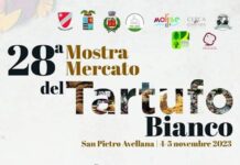 mostra tartufo bianco