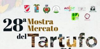 mostra tartufo bianco