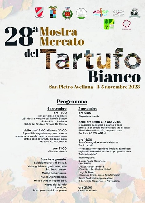 mostra tartufo bianco