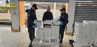 sequestro pesce termoli