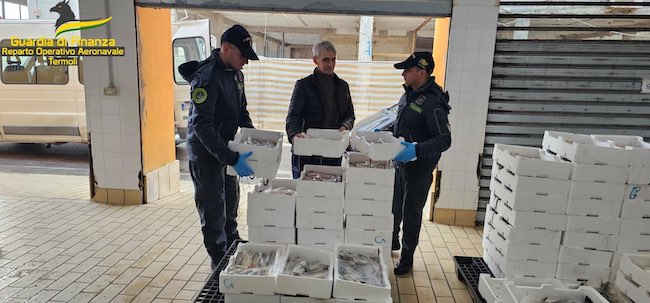 sequestro pesce termoli