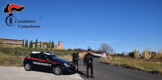 alt carabinieri campobasso