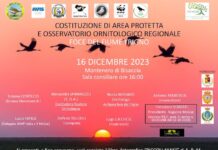 convegno montenero 16 dicembre 2023