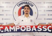 lorenzo persichini