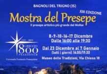 mostra del presepe bagnoli