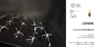 Luciana Picchiello - Cenere