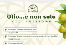 festa dell'olio sant'elia a pianisi 2024