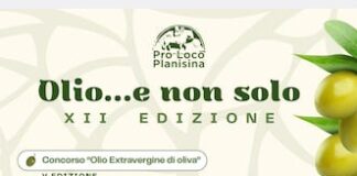 festa dell'olio sant'elia a pianisi 2024