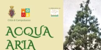 acqua, terra, fuoco, aria