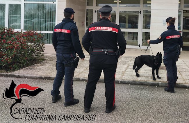 controlli carabinieri scuole