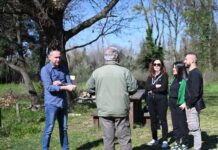 incontro spensieri