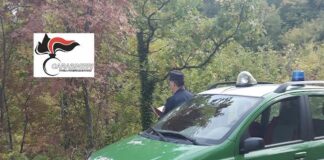 forestali campobasso