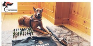 Operazione antibracconaggio, i Carabinieri molisani eseguono due arresti carabinieri unità cinofila